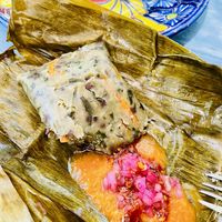   at Suculenta in Tulum