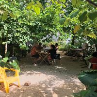 Wonderful food and amazing garden. at Suculenta in Tulum