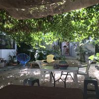 Backyard   at Suculenta in Tulum