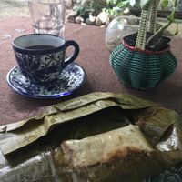 Tamales papadzul, amaaaaiiizing!!! at Suculenta in Tulum