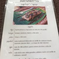 Menu page 1 at Suculenta in Tulum