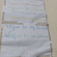  at Bao An Vegan (formerly Vegan Banhmi) in Hanoi