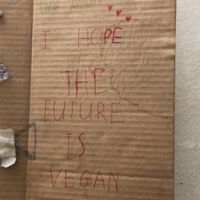   at Bao An Vegan (formerly Vegan Banhmi) in Hanoi