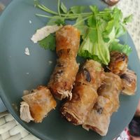 Fried spring rolls - 20k/set of 3 at Bao An Vegan (formerly Vegan Banhmi) in Hanoi