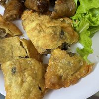 Spring rolls and crispy pillow dumplings  at Bao An Vegan (formerly Vegan Banhmi) in Hanoi