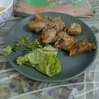 Fried Spring Rolls at Bao An Vegan (formerly Vegan Banhmi) in Hanoi