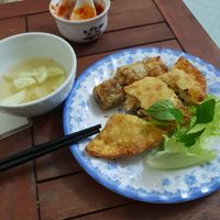 Delicious vegan Samosa und spring roll at Bao An Vegan (formerly Vegan Banhmi) in Hanoi