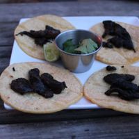 Fajita tacos at La Botanica in San Antonio