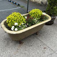   at Aroma Thyme Bistro in Ellenville