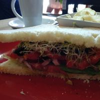 Sandwich vg lite without cheese at Fat Cat Coffee House in Antigua