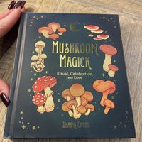 Book from the Book Nook  at Natural Living Food Co-op and Cafe in League City