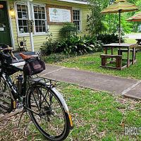 At Natural Living Food Co-op and cafe where they've added additional outdoor seating area with another umbrella covered picnic table made from recycled pallet wood, so ficken cool. at Natural Living Food Co-op and Cafe in League City