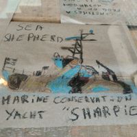 Nice decoration at La Ruta Vegana in Mazatlan