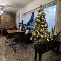 Christmas tree already up! at La Ruta Vegana in Mazatlan