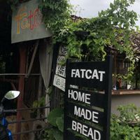   at FatCat in Pai