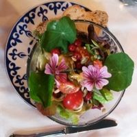 raw salad with nuts and berries at Zum Webertor in Weiden