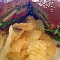 Veggie Burger at Morning Brew - Kailua in Kailua