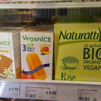 vegan gelato at NaturaSi - Via de' Toschi in Bologna