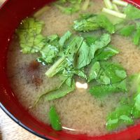 Veggie and mushroom miso soup at Brown Rice ブラウンライス in Tokyo