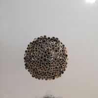 Candeeiro at Bambú in Vigo