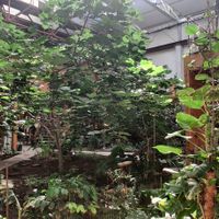 Co-working space at Väcka in Barcelona