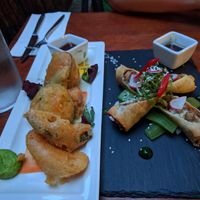 veggie tempura and spring rolls at Etnosvet in Prague