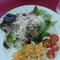 Homemade delicious Hummus with salat and sprouts at Svarog in Guardamar Del Segura
