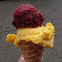 Vegan ice cream at Herrtotti Eis Manufaktur in Dusseldorf