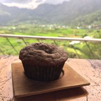 Banana muffin at Gaia in Sagada