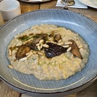 Mushroom risotto. Amazing! And I hate mushrooms.  at TIAN Bistro am Spittelberg in Vienna