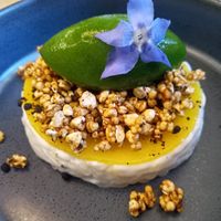  at TIAN Bistro am Spittelberg in Vienna