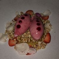 Sorbet, vegan dessert.  at TIAN Bistro am Spittelberg in Vienna