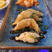 Great gyozo appetizer  at Clear Head - Lehka Hlava in Prague