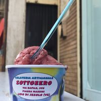 vegan berry ice cream, sugar free  at Sottozero in Jesolo