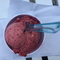 berry vegan ice cream, also sugar free at Sottozero in Jesolo