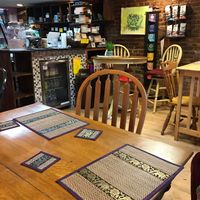 Cozy cute place!  at Healthy on Lark in Albany