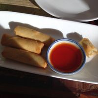 Spring rolls at Thai Am II - Maybe closed in Madeira Beach