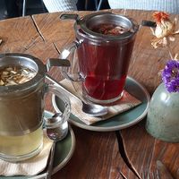  at De Herbivoor in Groningen