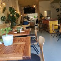 More indoor seeting and the biggest monstera I've seen in person at De Herbivoor in Groningen