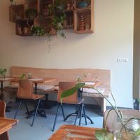 Inside at De Herbivoor in Groningen