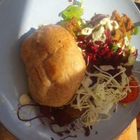  at De Herbivoor in Groningen