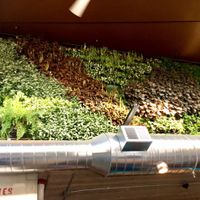 living wall at Beerline cafe at Beerline Cafe in Milwaukee
