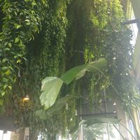 Ceiling! Incredible! at Beerline Cafe in Milwaukee