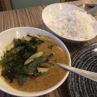 Vegan korma and rice at Indian Temptation in Bath