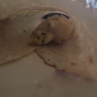 Inside the dosa   at Indian Temptation in Bath