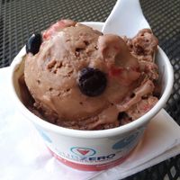 Coconut milk base, brownie batter for flavor, and mixed berries for the mix-in. at Sub Zero in Naples