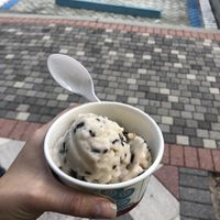 Vegan coconut milk with vegan chocolate shavings and walnuts  at Sub Zero in Naples