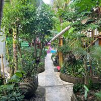   at Alkaline Restaurant in Canggu