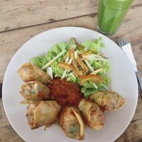 Spring rolls  at Alkaline Restaurant in Canggu