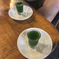 Moringa shot at Alkaline Restaurant in Canggu